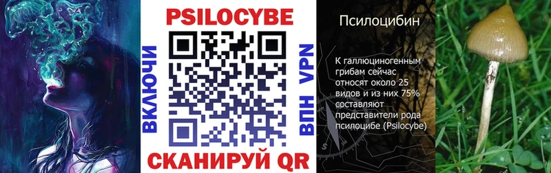 где можно купить наркотик Верхнеуральск Псилоцибиновые грибы мицелий